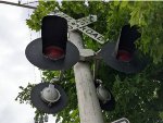Overgrown crossing signal lights